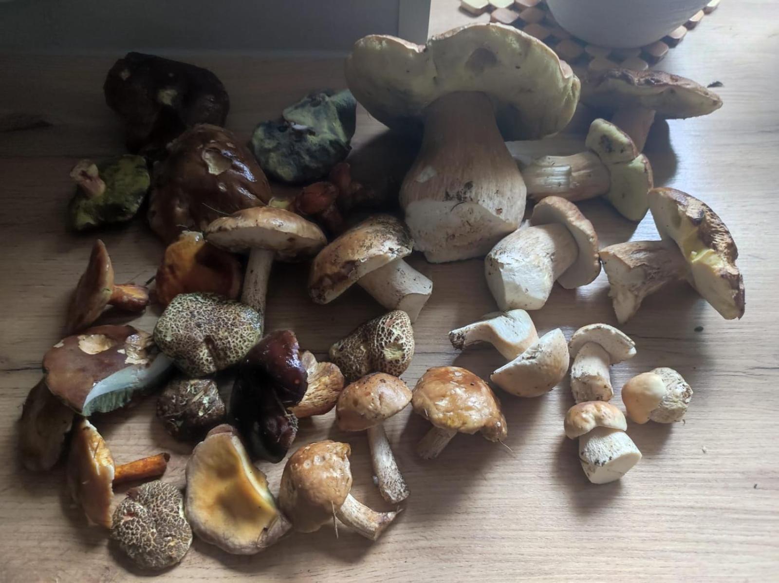 Drewniany Domek Daria I Tomek 2 Domki Na 8 Osob Stronie Śląskie المظهر الخارجي الصورة